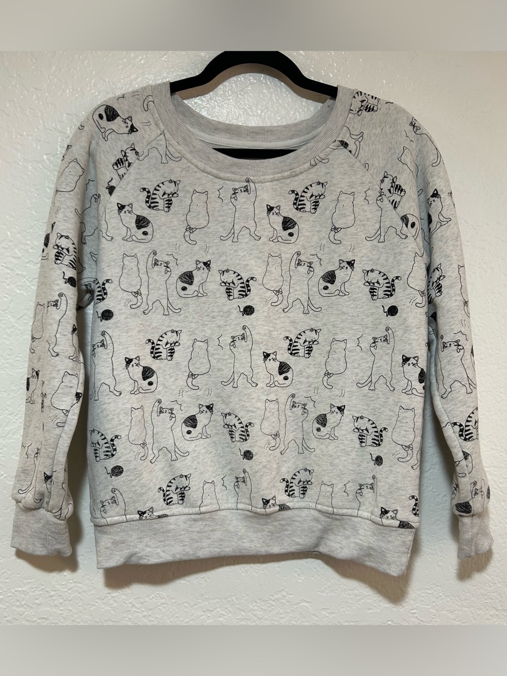 Cute Cat Print Crewneck Fleece Lined Sweatshirt